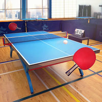 Table Tennis Touch苹果版