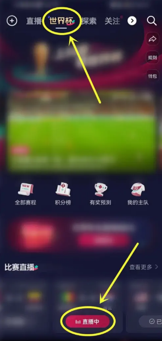 抖音2022世界杯直播怎么显示字幕 世界杯直播显示字幕设置教程 3